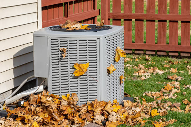 Best Furnace Cleaning in Clara City, MN